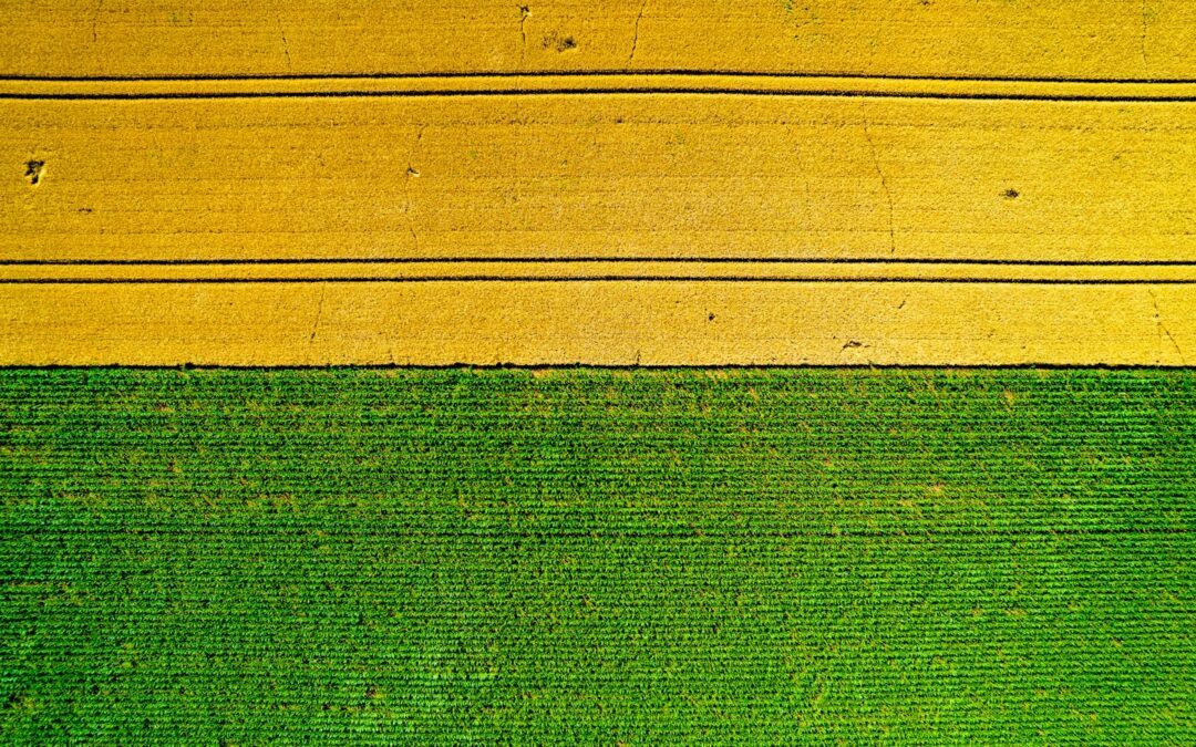 Agrivoltaico: tutti i vantaggi per agricoltura, energia e territorio